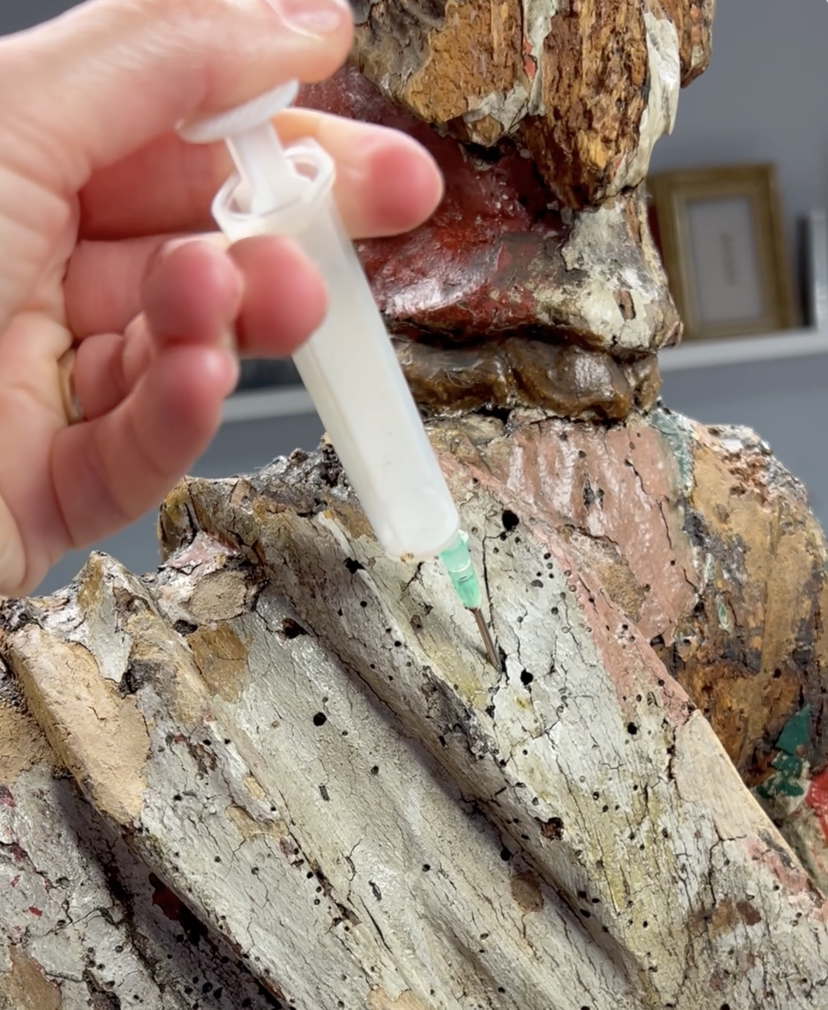 Consolidation Saint Donat – INPA